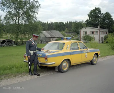 С Днем ГИБДД🚨! Дороги, машины и водители – три непременных слагаемых  транспортных артерий🚦! Сотрудники ГИБДД – добрые хранители… | Instagram