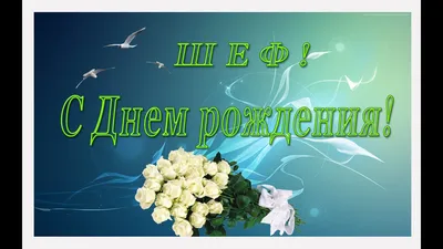С днем рождения директору