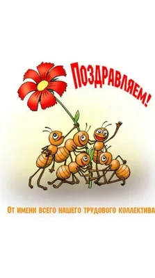 Красивая открытка с днем рождения мужчине начальнику (скачать бесплатно)