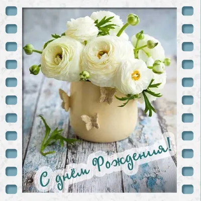 С Днём Рождения