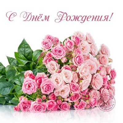 Оригинальный поздравления с днем рождения женщине