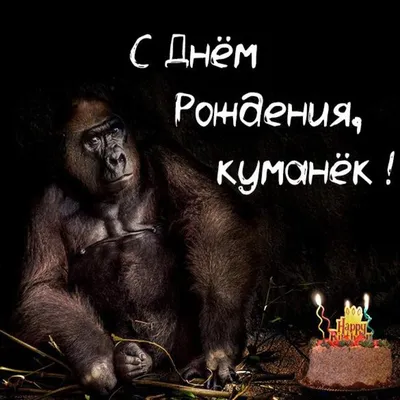 Открытки с днем рождения куму — 🎁 Скачать бесплатно картинки с пожеланиями  на Pozdravim-vseh.ru