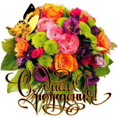 С Днем Рождения, Оля: картинки