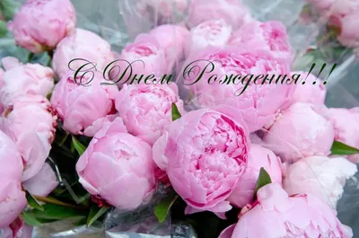 С днем рождения Ольга Викторовна открытки - 72 фото