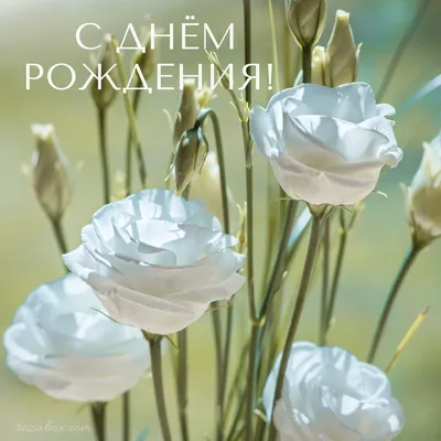 Современная открытка с днем рождения женщине
