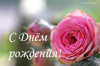 С Днем Рождения. Красивая Поздравительная Открытка Поцарапала Каллиграфию  Черным Текстовым Словом Золотые Звезды. Нарисованное Приглашение. Дизайн  Футболки С Рисунком. Рукописные Современные Кисти На Белом Фоне  Изолированные Вектор Клипарты, SVG ...