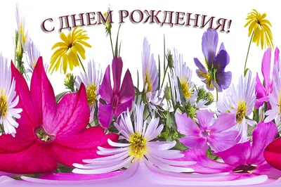 С Днём Рождения Виктор! (Vitusha) - Страница 2 - Праздники, Дни рождения,  Юбилеи - Forum UzSat