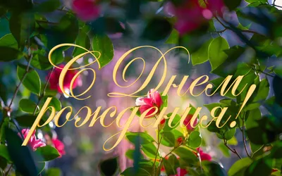 ФК «СКА-Хабаровск» on Instagram: \"С Днём Рождения, Виктор Александрович!🥳  Сегодня тренер-аналитик команды «СКА-Хабаровск» отмечает 29-летие! От всей  души поздравляем и желаем, чтобы команда чаще радовала победами, крепкого  здоровья и всего самого ...