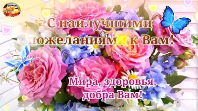 Подарочный набор For You, подарок на день рождения, военному, мужчине, мужу,  парню, другу, брату, папе. Кукумбер синий ‣ Цена 1733 грн ‣ Купить в  интернет-магазине Каста ‣ Киев, Одесса, Харьков ‣ Доставка по всей  Украине!(#253678414)