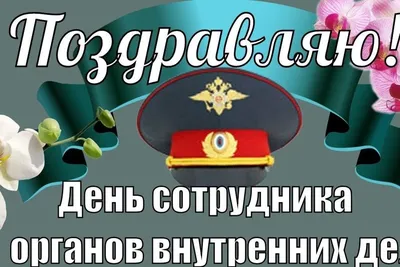 С Днем сотрудников органов внутренних дел России!