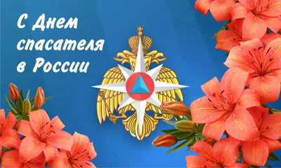 Дума Ставропольского края - 27 декабря - День спасателя Российской Федерации
