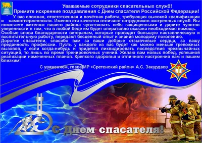 Из поздравления Председателя СК России с Днем спасателя Российской  Федерации - Лента новостей Херсона
