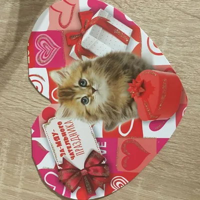 С Днем Святого Валентина Кошка Любовь Пара Мальчик Девушка Котенок Голову  Лицо Проведения Большой Розовый Сердце Симпатичный Мультфильм — стоковая  векторная графика и другие изображения на тему Белоруссия - iStock