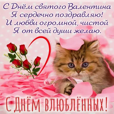 Черная Кошка Значок Головы. Красное Сердце. Милый Забавный  Мультипликационный Персонаж. С Днем Святого Валентина День Поздравительная  Открытка. Грустно Эмоции. Китти Баки Детские Коллекции Домашнее Животное.  Белый Фон. Изолированные. Плоский Дизайн ...