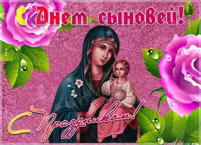 деньсыновей | TikTok