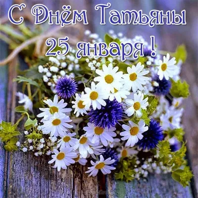 Именины Татьяны 25 января - прикольные открытки, картинки, поздравления в  стихах и прозе - Апостроф