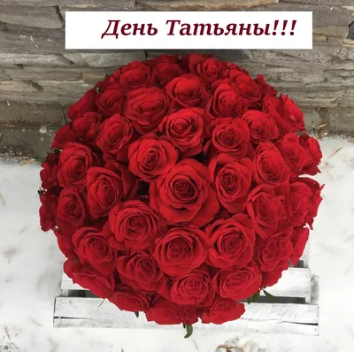 Открытка поздравляю с Днем Татьяны 5 января — скачать бесплатно