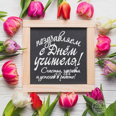 День учителя в Украине в 2021 году - когда поздравлять педагогов | Стайлер
