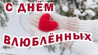 Прикольные открытки и смешные картинки с Днем Святого Валентина на 14  февраля