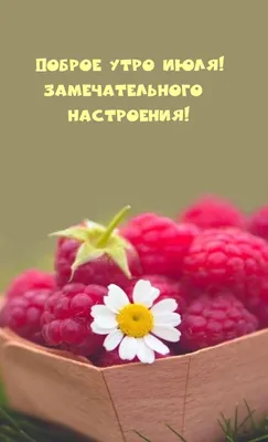 С добрым июльским утром! Доброе утро 5 августа, счастья, мира и добра в  каждый дом! - YouTube