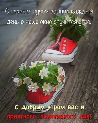 🍓🌞🍒 С ДОБРЫМ ИЮНЬСКИМ УТРОМ 🍓🌞🍒 Ах, летнее утро, ты дышишь прохладой,  А росы на травах как бисер.. | ВКонтакте