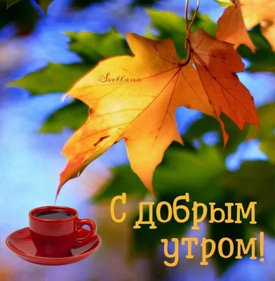 🍁С Добрым Осенним Утром!!!Доброе утро!🍂#доброеосеннееутро#сдобрымутр... |  TikTok