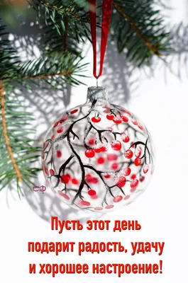 Новогоднее 🎅🍊🎄🍊☃️ Утро доброе! | Рождественские картины, Праздничные  открытки, Рождественские изображения