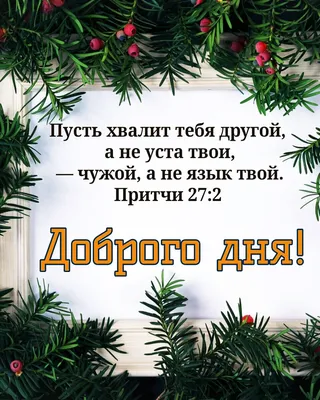 Доброе Рождественское утро! 🙏 | TikTok