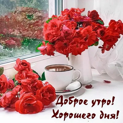 Доброе утро, девушки🌸 Хорошего дня! 😉 | Женский Северодвинск | ВКонтакте