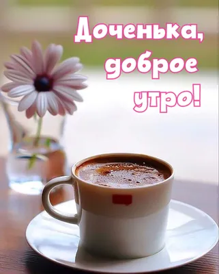 видео с добрым утром доченька｜Búsqueda de TikTok