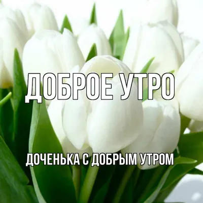 Поздравление с добрым утром дочери - 73 фото