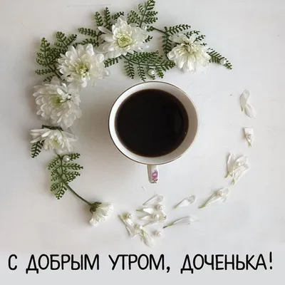 Картинка с добрым утром доченька моя | Открытки, Надписи, Картинки