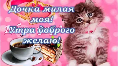 Открытка с именем Доченька с добрым утром Доброе утро тюльпаны белые  крупным планом. Открытки на каждый день с именами и пожеланиями.