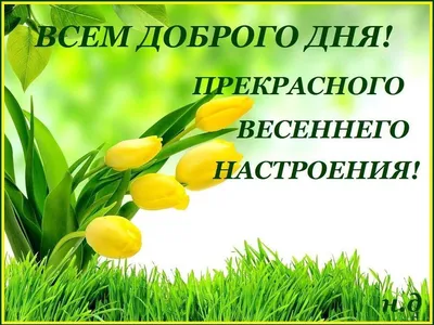 Открытка доброе утро дочка - 73 фото