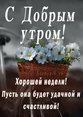 С Добрым утром, с началом новой недели.... Улыбнись, открывая глаза на... |  Интересный контент в группе СЧАСТЬЕ