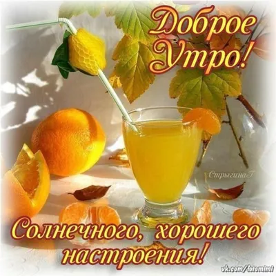 Открытки с добрым утром и пожеланием здоровья - красивые изображения -  snaply.ru