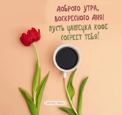 Создать мем \"утренний кофе для бодрости, с добрым утром, с добрым утром  красивые открытки\" - Картинки - Meme-arsenal.com