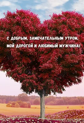 Открытки с добрым утром мужчине прикольные (44 фото) » Рисунки для срисовки  и не только