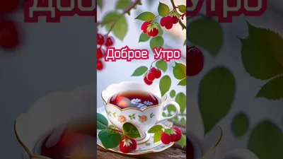 Картинки с Добрым утром летние (40 штук)