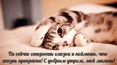 пожелание мужчине доброго утра｜TikTok Search