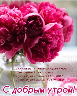 ШКОЛА Моделей Анны Комкиной - С добрым утром, милые Леди! 🌸 Хорошего дня !  #доброеутро#цветы#пионы#настроение# | Facebook