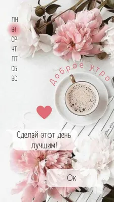 Пин от пользователя Yulia Lisnyak на доске С добрым утром | Маки цветы,  Цветочные фоны, Праздничные открытки