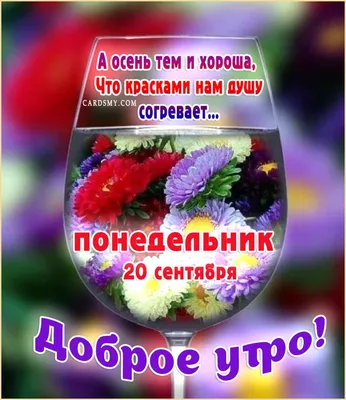 Картинки \"Доброе утро. Понедельник\" (715 шт.)