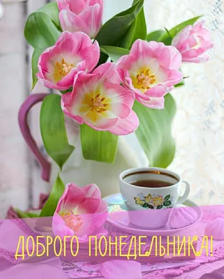 Доброе утро! Понедельник. | Зимние напитки, Доброе утро, Здоровый
