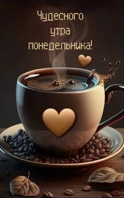 Понедельник с ДОБРЫМ УТРОМ!!! | TikTok