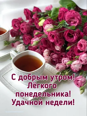 Прикольная открытка \"Доброе утро понедельника!\", с котиком пьющим чай •  Аудио от Путина, голосовые, музыкальные