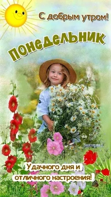 Примечание понедельника доброго утра Стоковое Фото - изображение  насчитывающей надземно, пер: 151230070