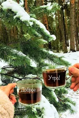 Яркая открытка \"Доброе утро понедельника!\", с пожеланием • Аудио от Путина,  голосовые, музыкальные