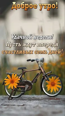Картинки \"С Добрым Утром Понедельника!\" (100+)