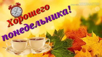 Картинки \"Доброго Утра Понедельника!\" (152 шт.)